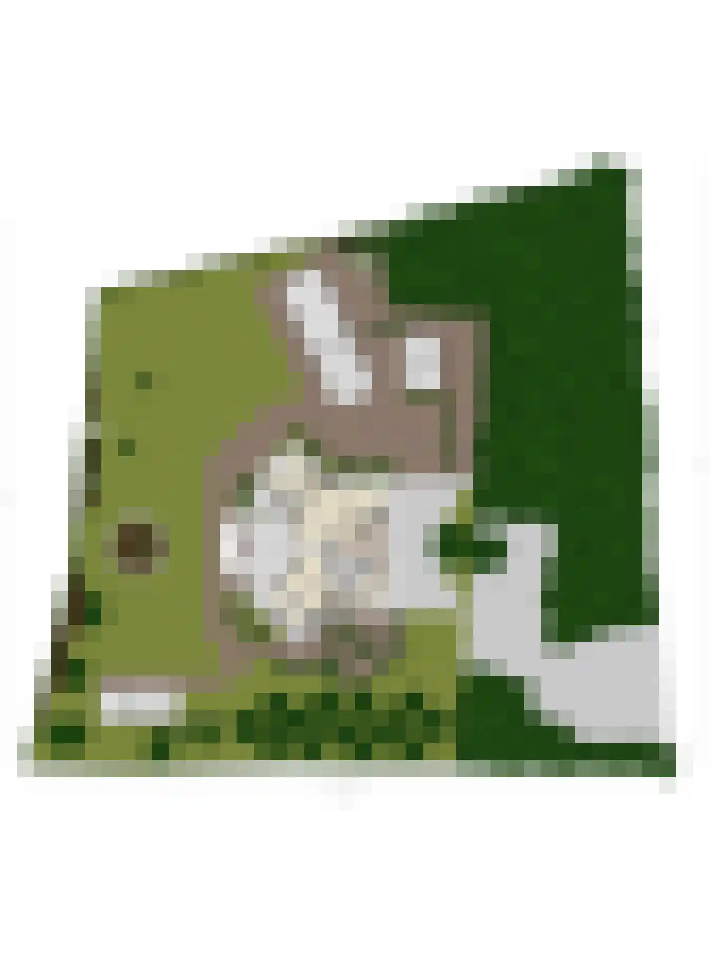 Verlengde Oude Veenendaalseweg 26 Rhenen thumbnail 53