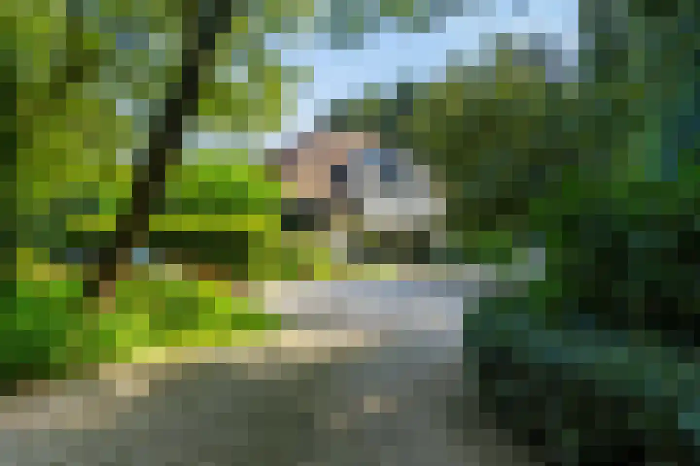 Verlengde Oude Veenendaalseweg 26 Rhenen thumbnail 7