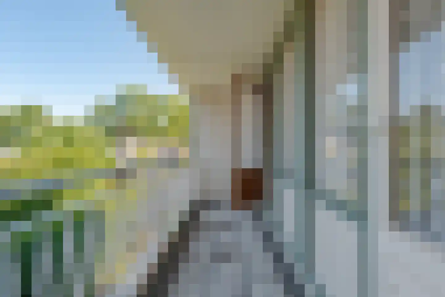 Verlengde Parklaan 18 Hattem thumbnail 41