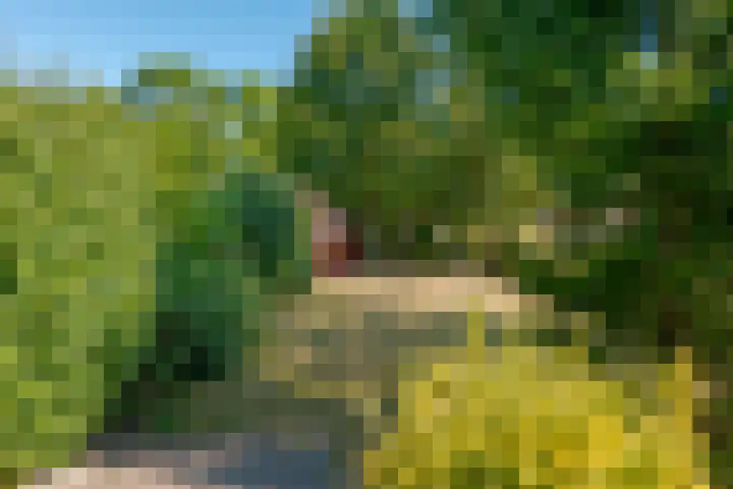 Verlengde Parklaan 18 Hattem thumbnail 57