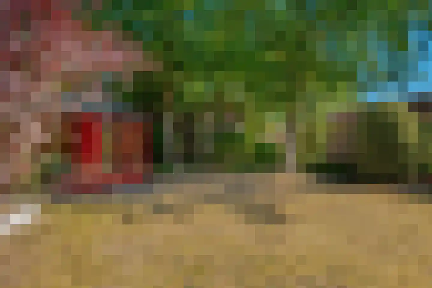 Verlengde Parklaan 18 Hattem thumbnail 60