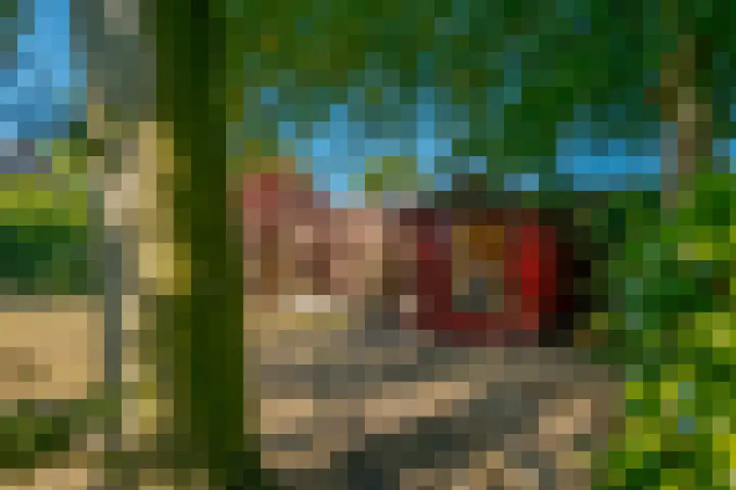 Verlengde Parklaan 18 Hattem thumbnail 61
