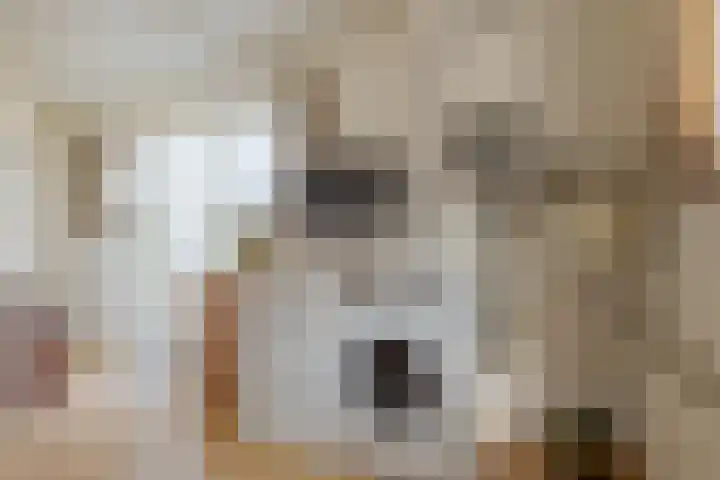 Verlengde Parklaan 28 Hattem thumbnail 23