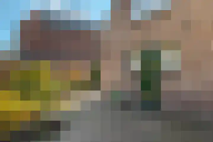 Verlengde Parklaan 28 Hattem thumbnail 39