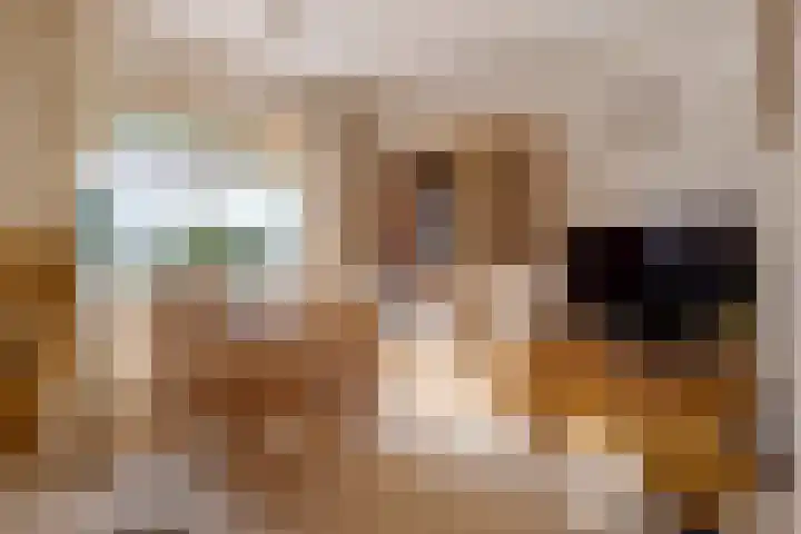 Verlengde Parklaan 28 Hattem thumbnail 4