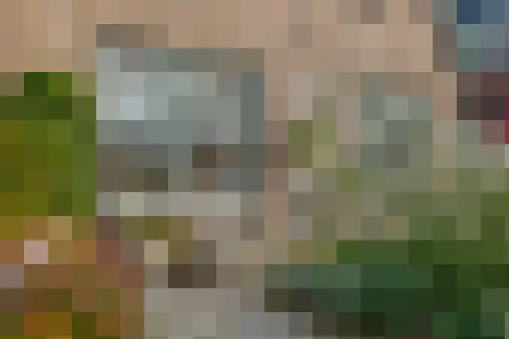 Verlengde Parklaan 28 Hattem thumbnail 8