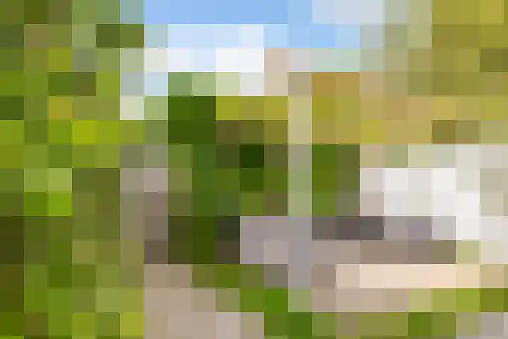 Verlengde Parkweg 36 Ede thumbnail 26