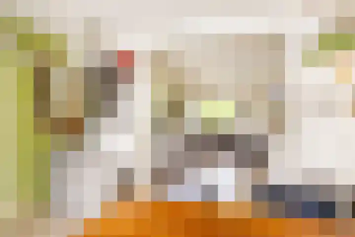 Verlengde Parkweg 36 Ede thumbnail 7