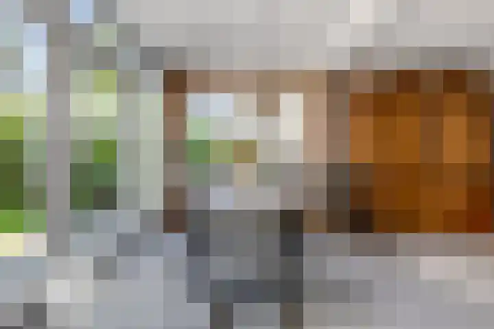Verlengde Parkweg 42 Ede thumbnail 10