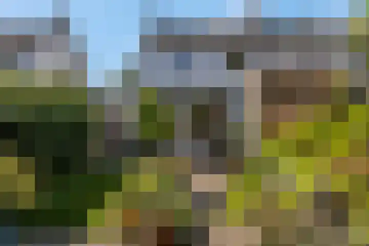 Verlengde Parkweg 42 Ede thumbnail 34