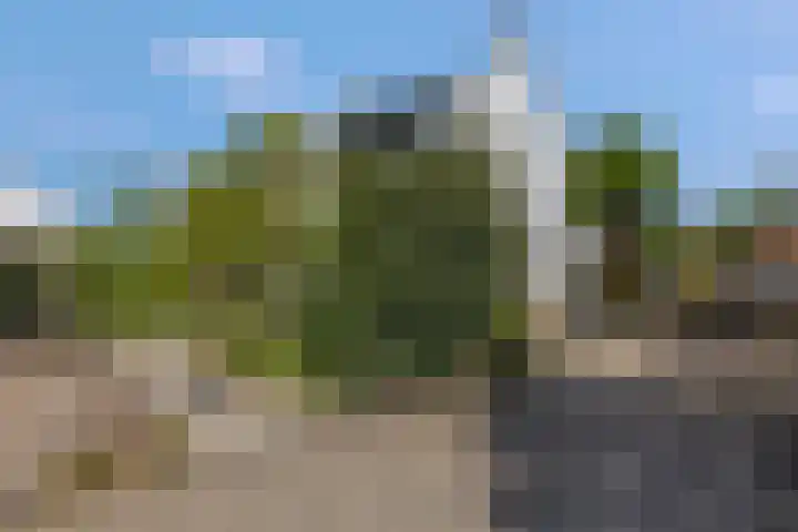 Verlengde Parkweg 42 Ede thumbnail 41