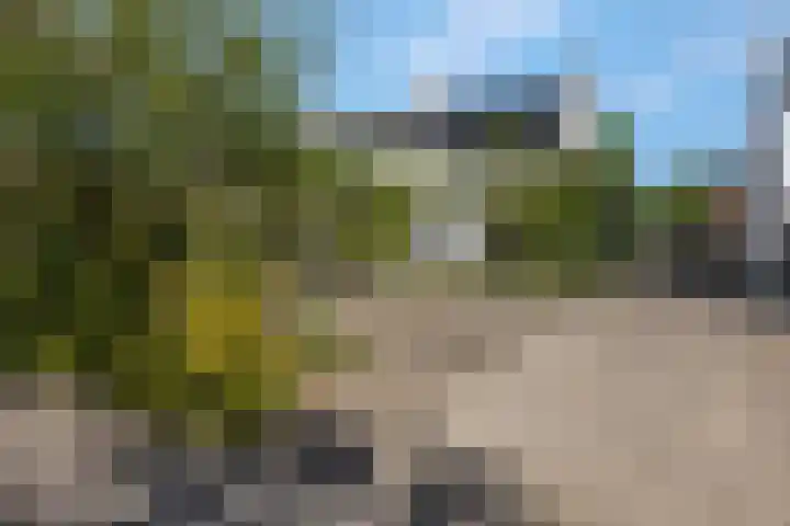 Verlengde Parkweg 42 Ede thumbnail 42