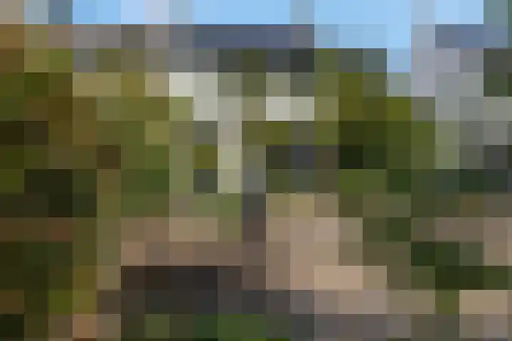 Verlengde Parkweg 42 Ede thumbnail 43