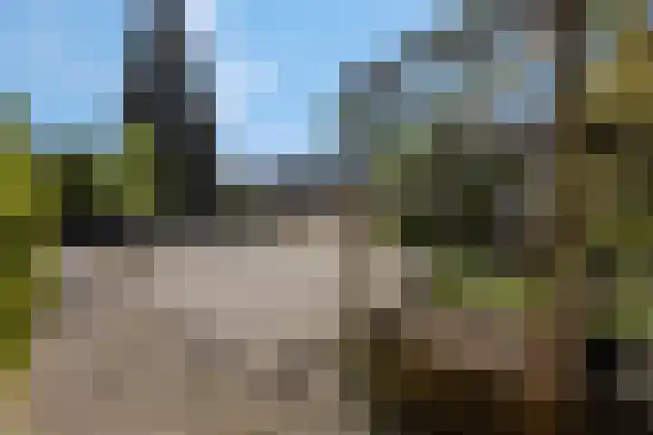 Verlengde Parkweg 42 Ede thumbnail 45