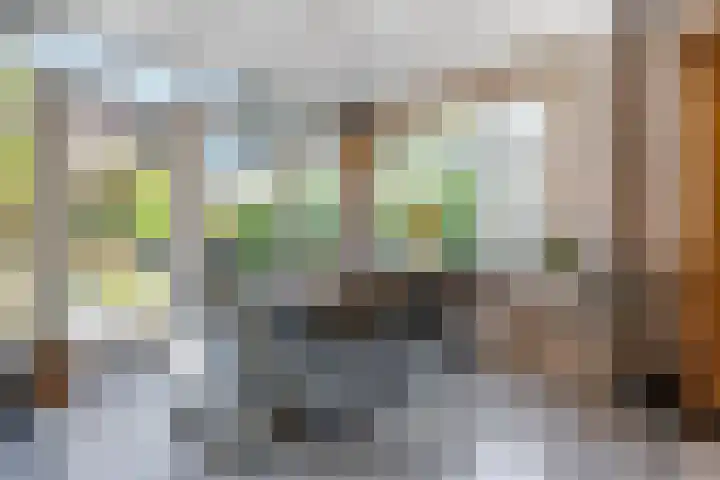 Verlengde Parkweg 42 Ede thumbnail 8