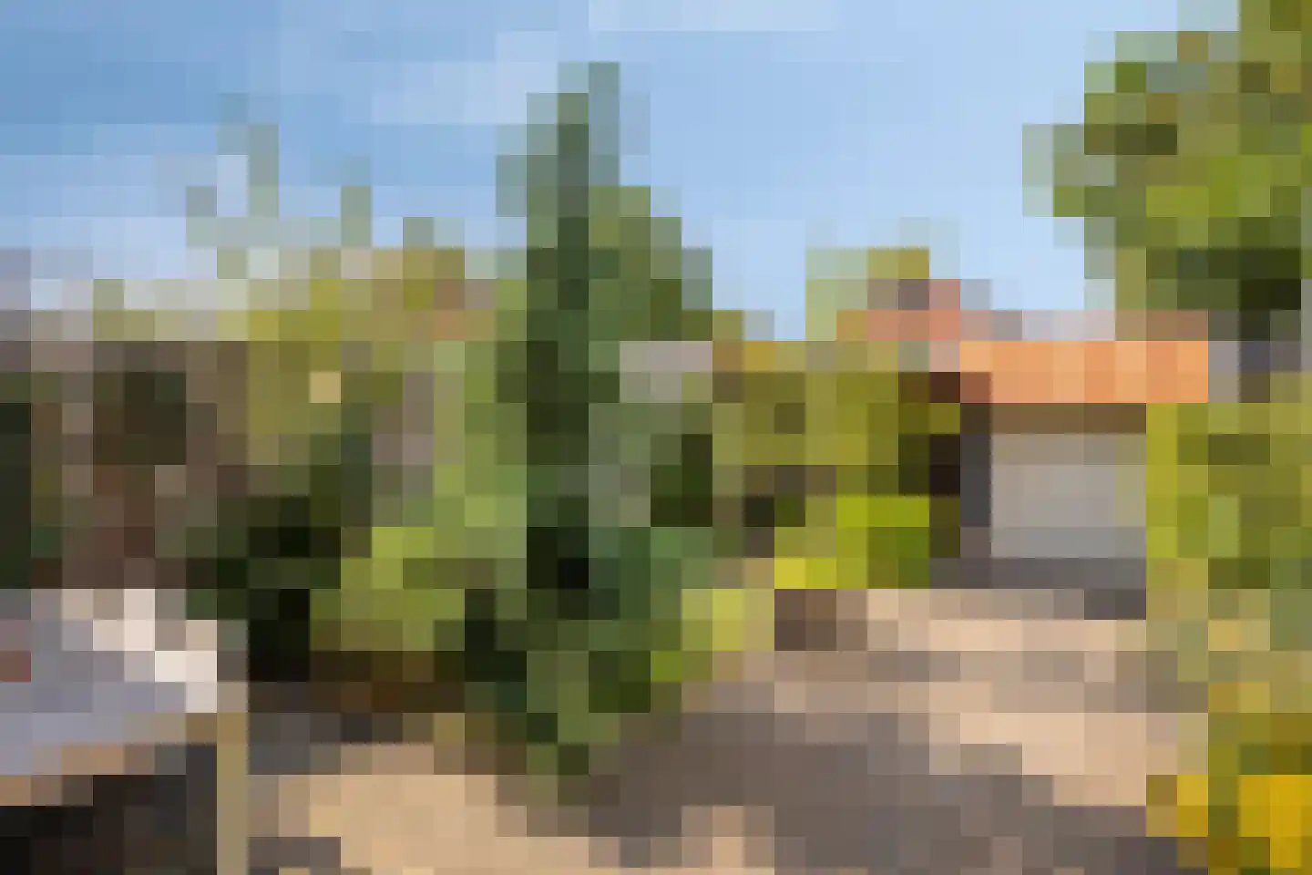 Verlengde Parkweg 52 Ede thumbnail 24