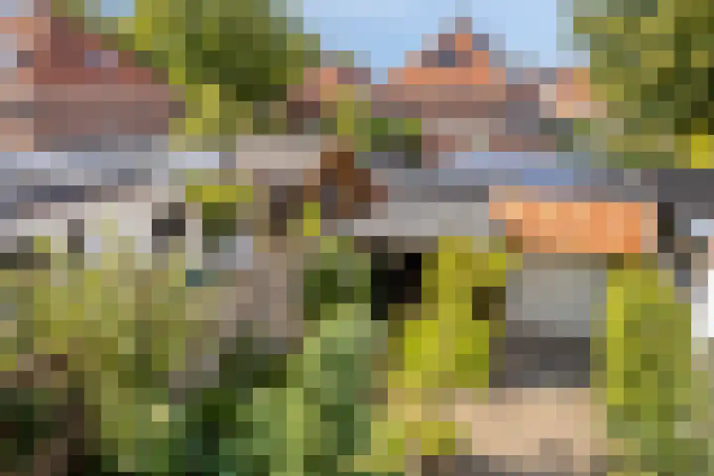 Verlengde Parkweg 52 Ede thumbnail 27