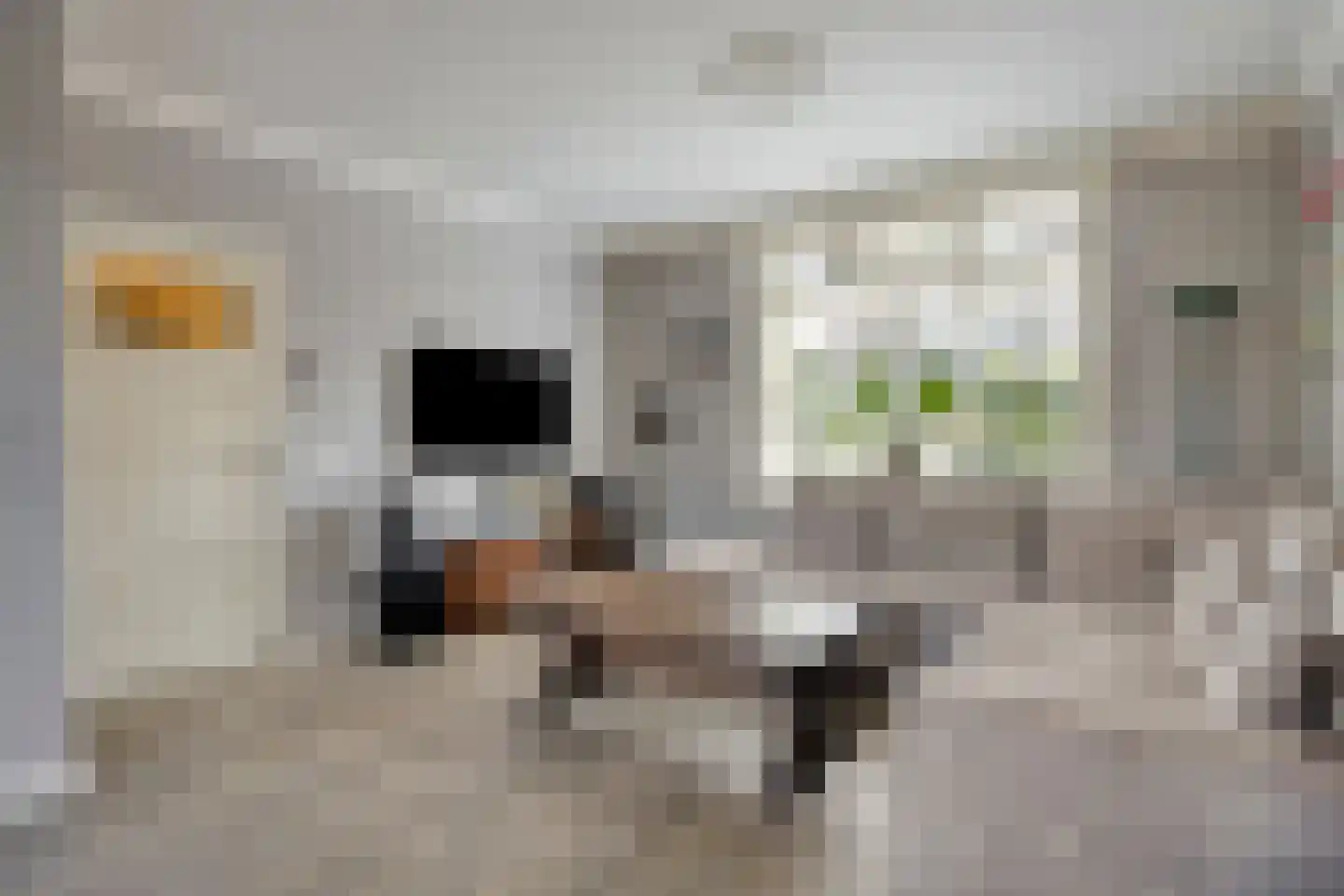 Verlengde Parkweg 52 Ede thumbnail 4