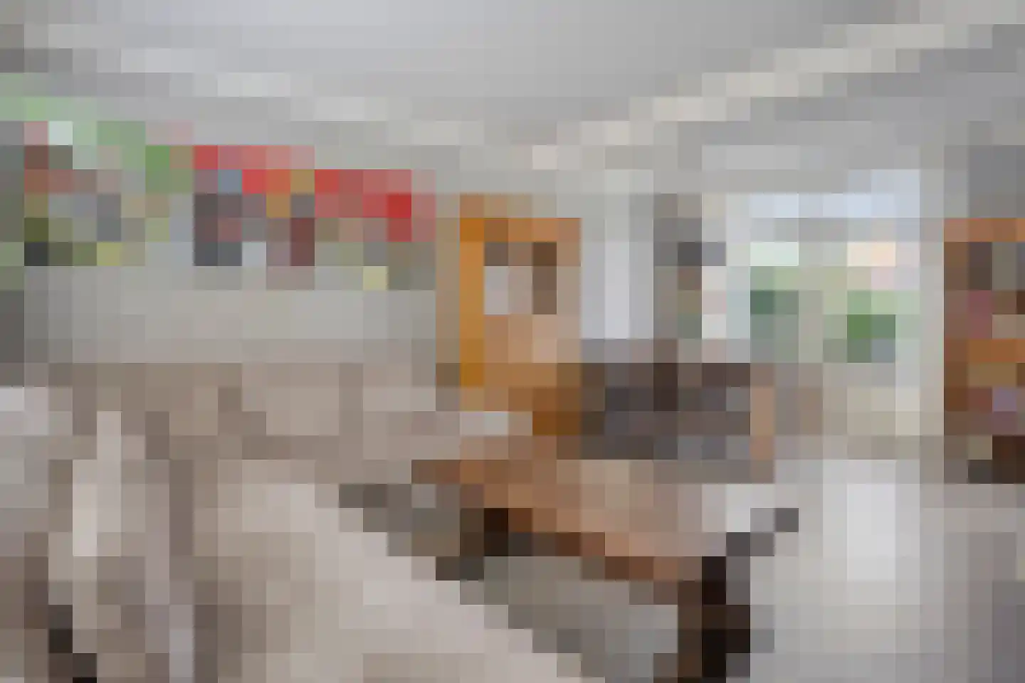 Verlengde Parkweg 52 Ede thumbnail 6