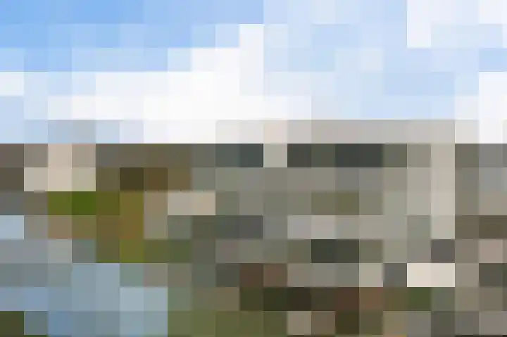 Verlengde Poelkade 10 's-Gravenzande thumbnail 29