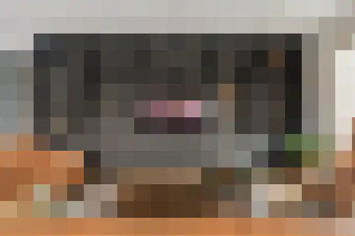 Verlengde Poelkade 10 's-Gravenzande thumbnail 32