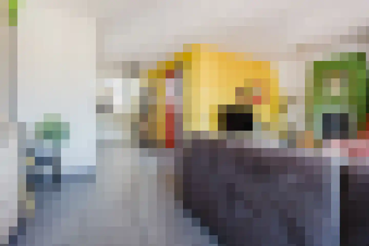 Verlengde Pompstraat 5 Gorinchem thumbnail 6