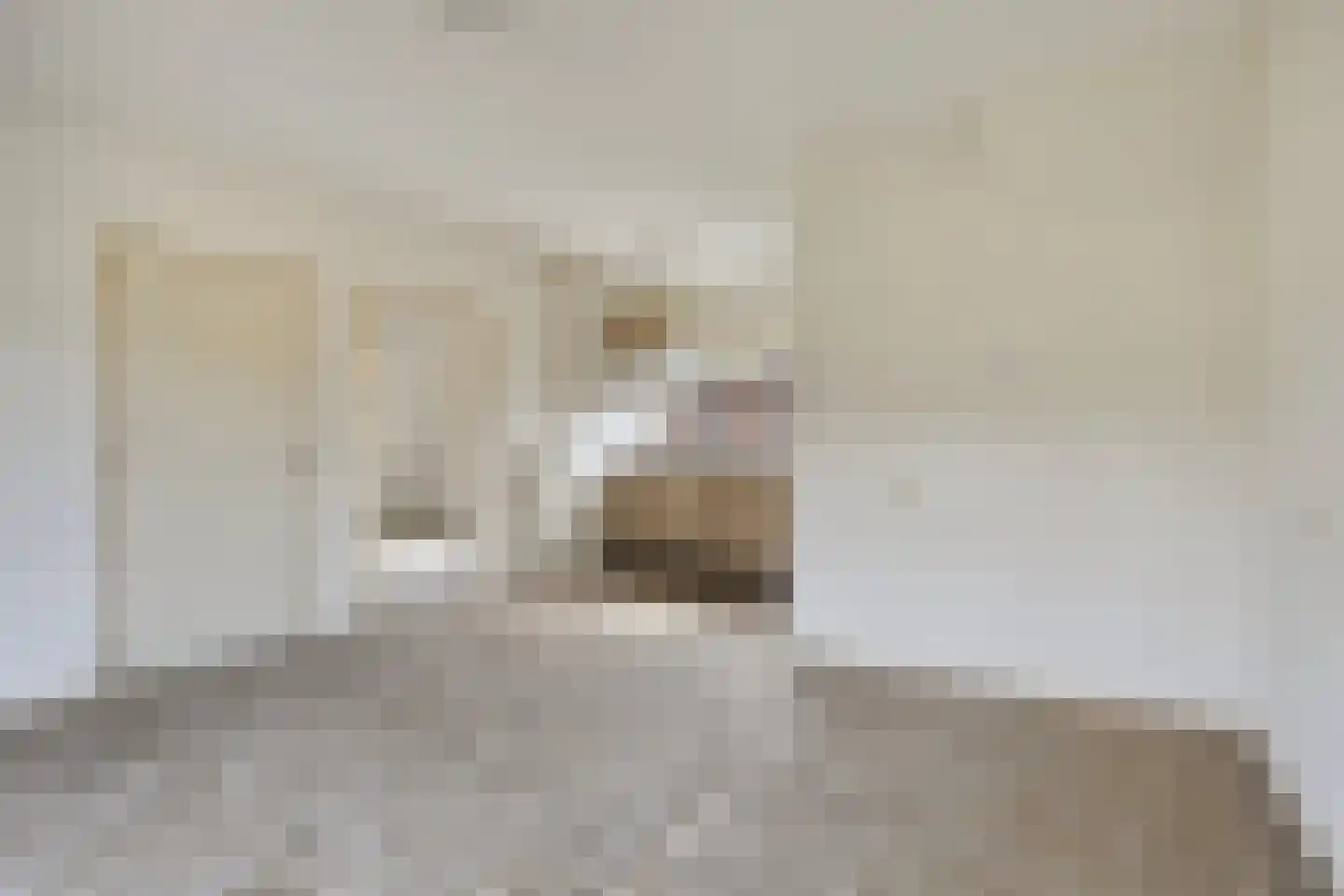 Verlengde Raagtenstraat 1 Beek en Donk thumbnail 9
