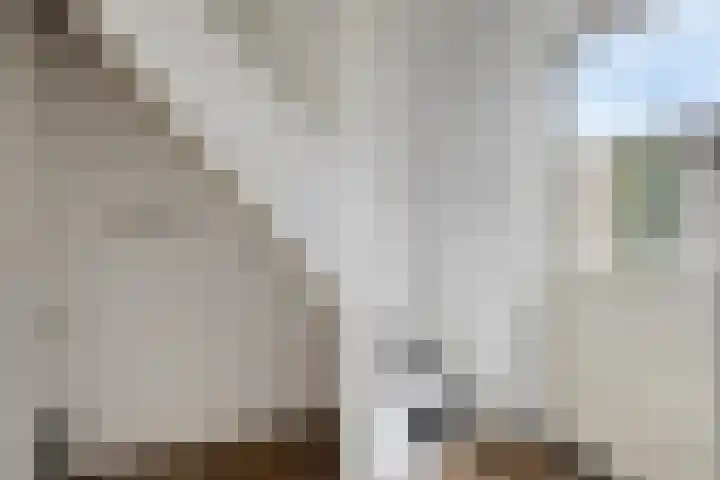 Verlengde Raagtenstraat 3 Beek en Donk thumbnail 16