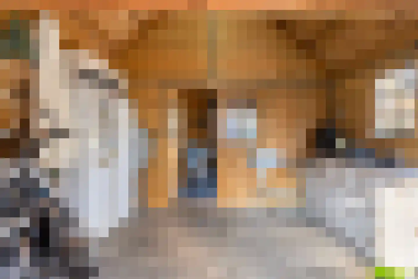 Verlengde Ratumsestraat 35 Winterswijk thumbnail 30