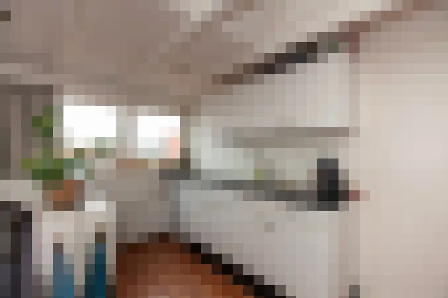 Verlengde Ratumsestraat 9 Winterswijk thumbnail 40