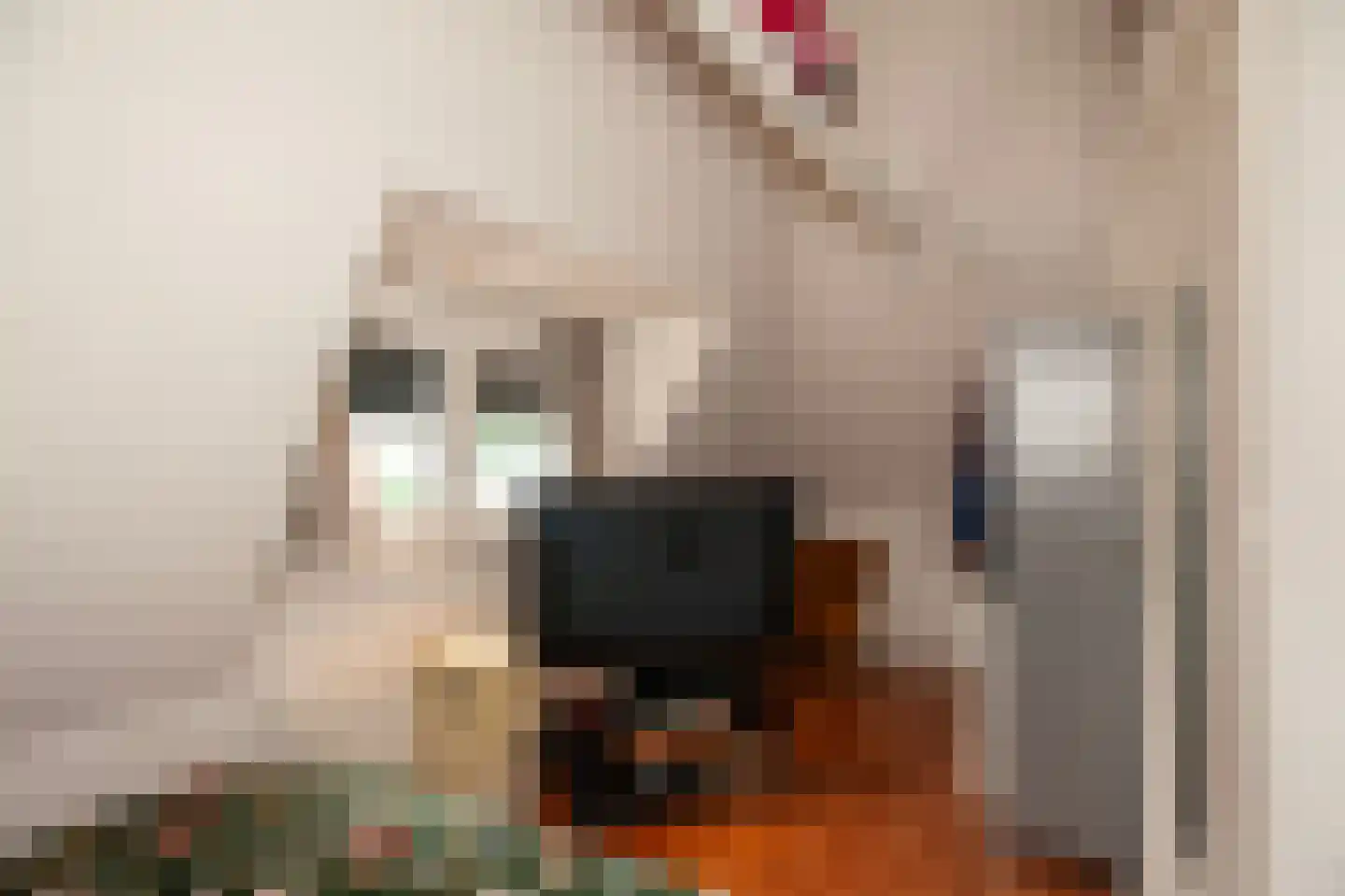 Verlengde Ratumsestraat 9 Winterswijk thumbnail 44