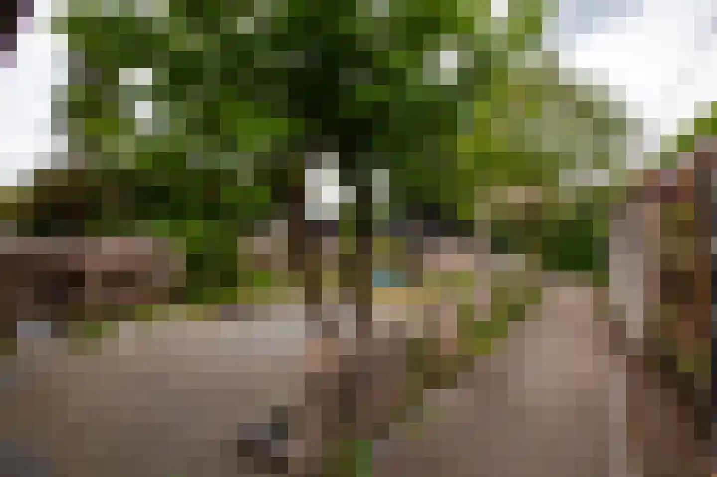 Verlengde Ratumsestraat 9 Winterswijk thumbnail 47