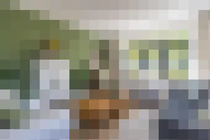 Verlengde Schietweg 9 't Harde thumbnail 13