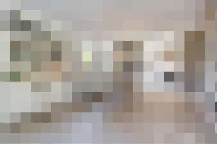 Verlengde Schietweg 9 't Harde thumbnail 16
