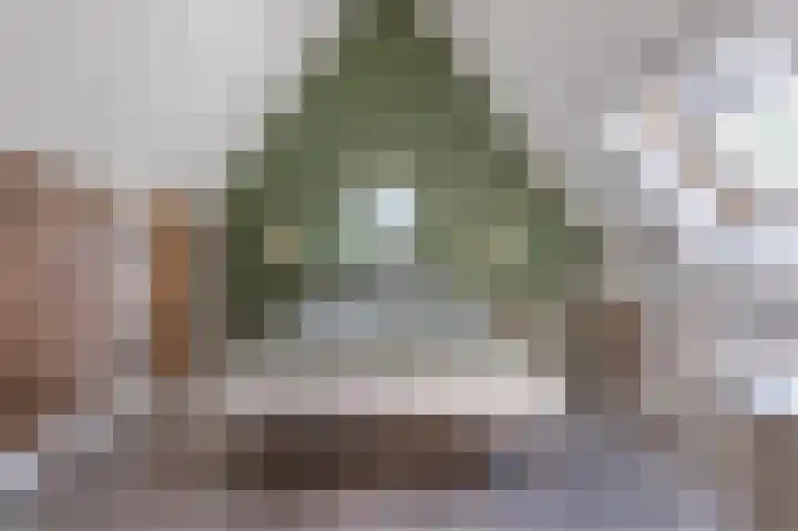 Verlengde Schietweg 9 't Harde thumbnail 32