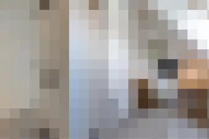 Verlengde Schietweg 9 't Harde thumbnail 33