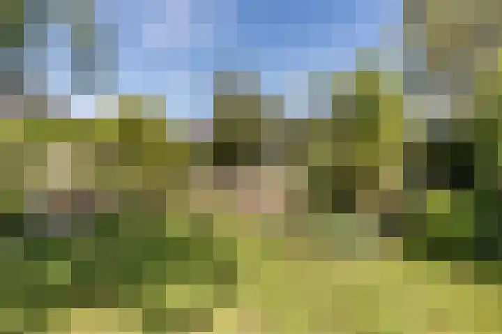 Verlengde Schietweg 9 't Harde thumbnail 44