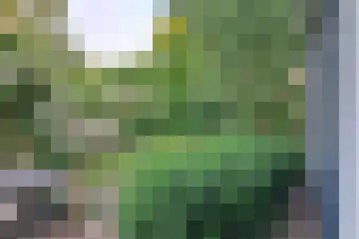 Verlengde Schietweg 9 't Harde thumbnail 46