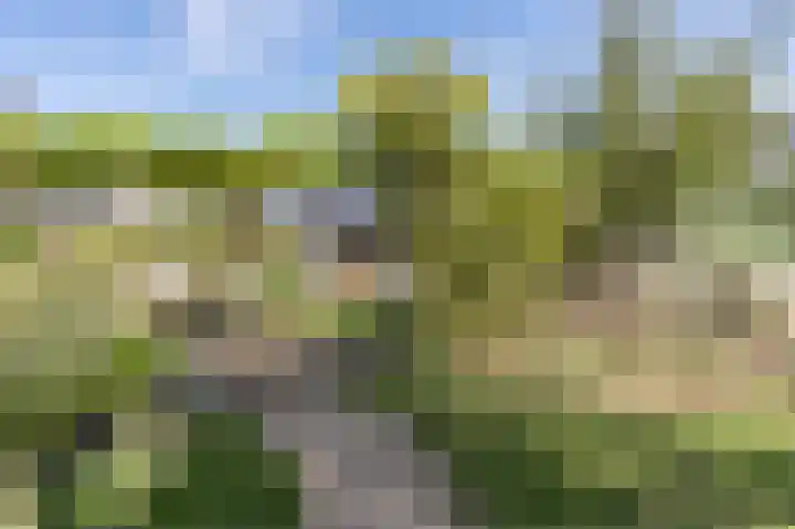 Verlengde Schietweg 9 't Harde thumbnail 47
