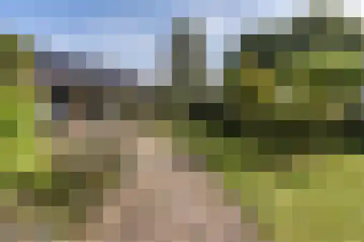 Verlengde Schietweg 9 't Harde thumbnail 48