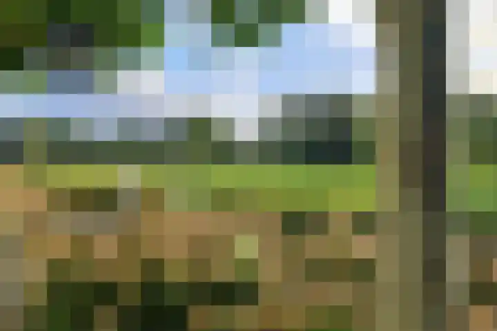 Verlengde Schietweg 9 't Harde thumbnail 5