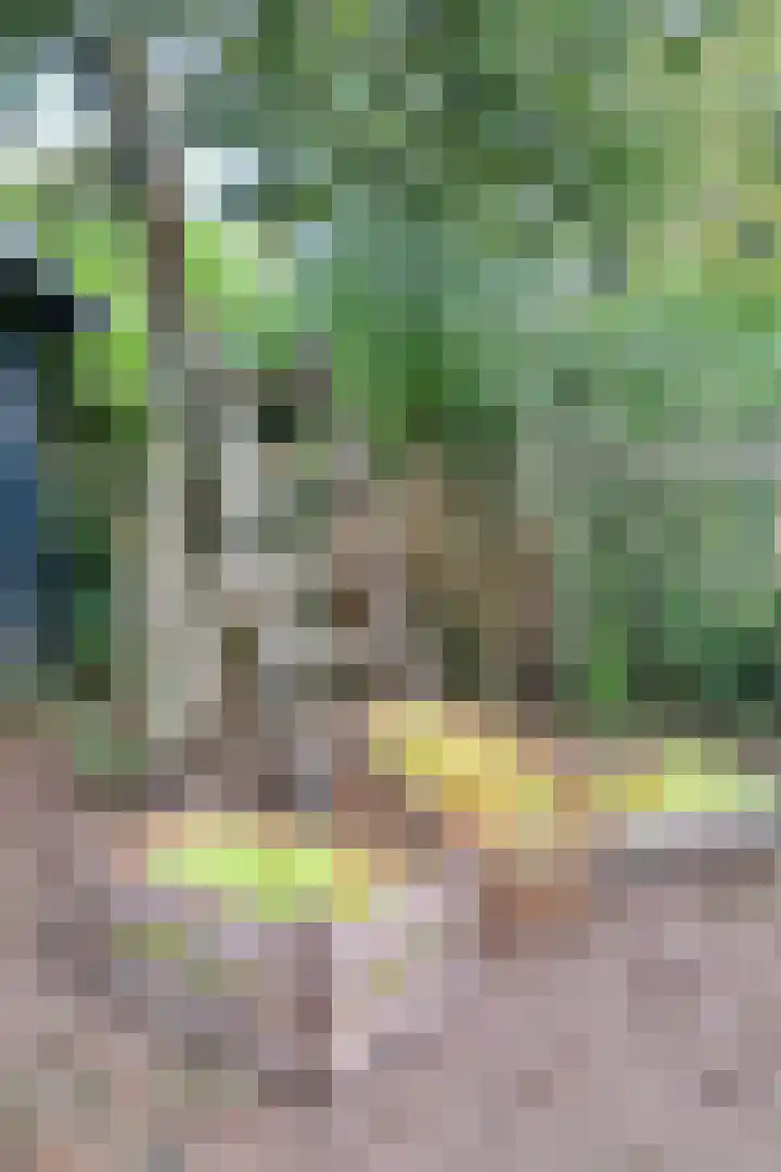 Verlengde Schietweg 9 't Harde thumbnail 51
