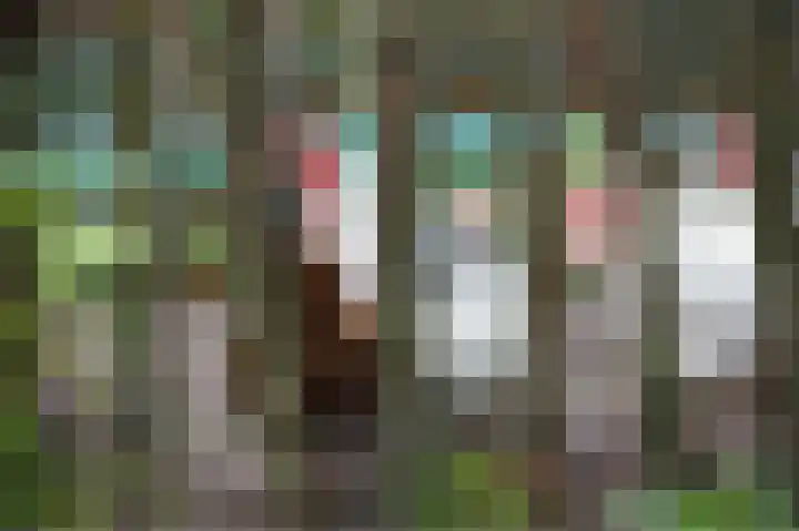 Verlengde Schietweg 9 't Harde thumbnail 52