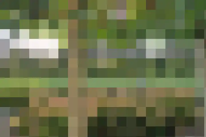 Verlengde Schietweg 9 't Harde thumbnail 55