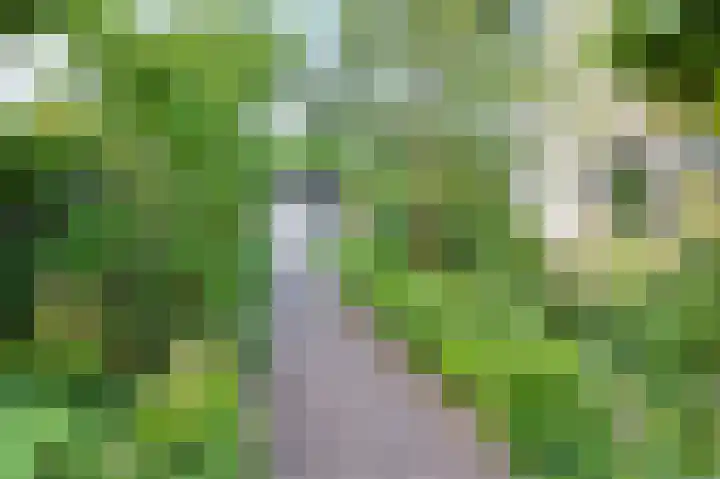 Verlengde Schietweg 9 't Harde thumbnail 56