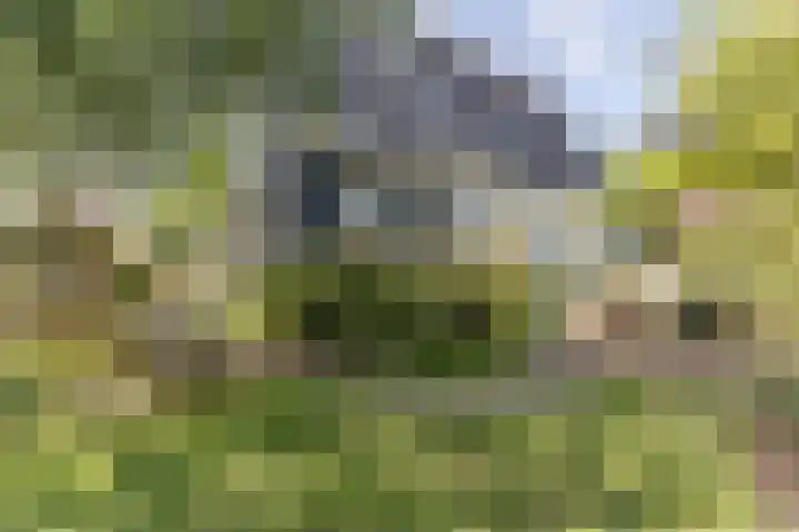 Verlengde Schietweg 9 't Harde thumbnail 6