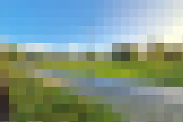 Verlengde Schietweg 9 't Harde thumbnail 66
