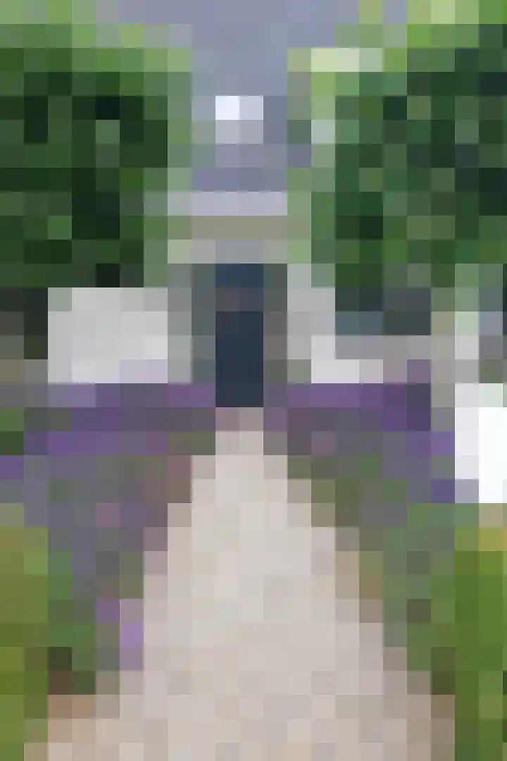 Verlengde Schietweg 9 't Harde thumbnail 7