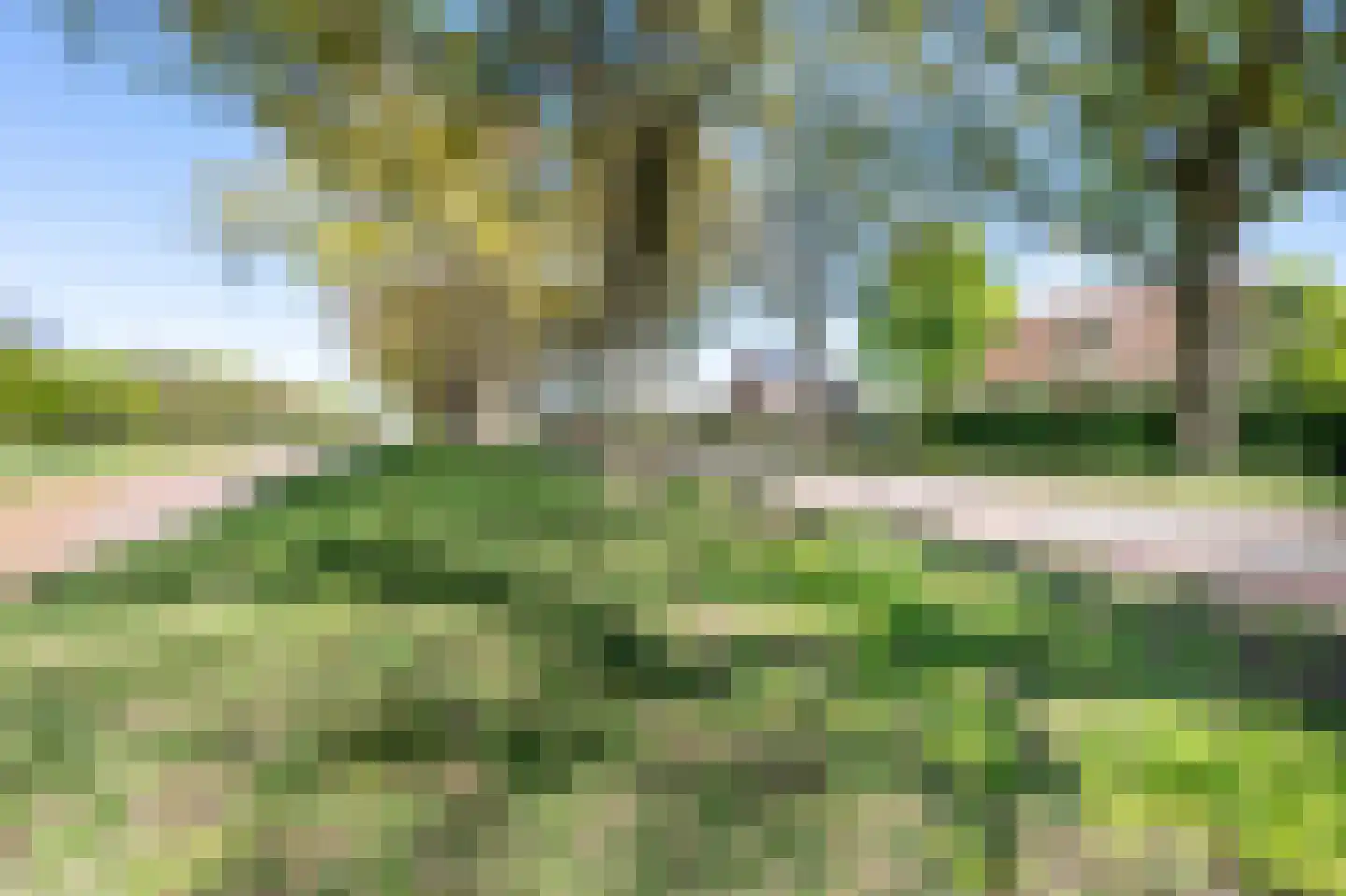Verlengde Scholtenskanaal OZ 107 Emmer-Compascuum thumbnail 40