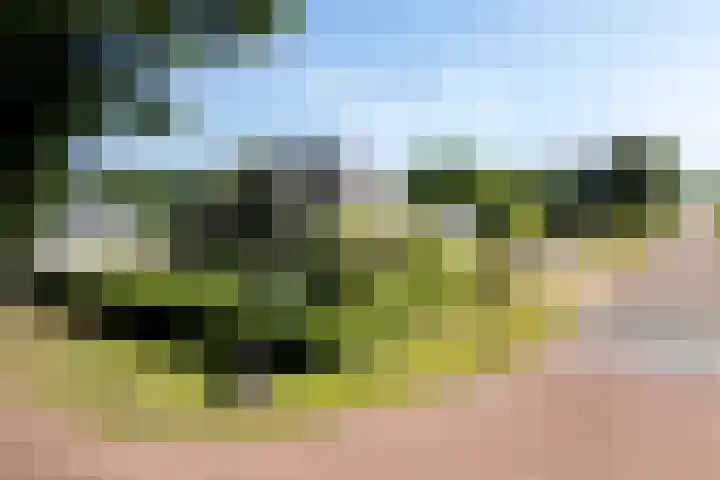 Verlengde Scholtenskanaal OZ 109 in Emmer-Compascuum